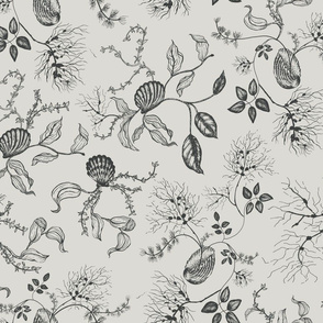 seashells and aquatic plants toile // charcoal gray // medium scale