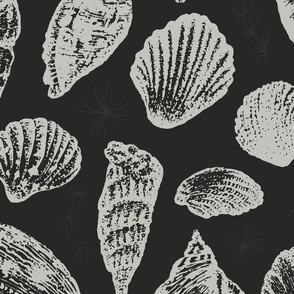 seashells in shallow water // charcoal gray // large scale