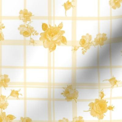 Floria Tartan daffodil 1