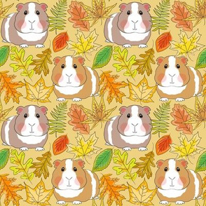 medium guinea pigs with fall leaves