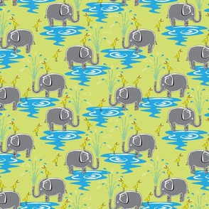 Elephants and Egrets