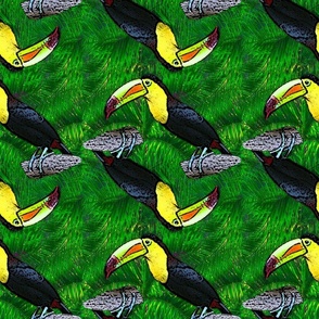 Too Many Toucans