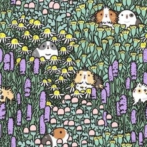 Guinea Pigs and Garden Herbs Pattern, small