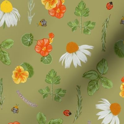 Edible Floral Herb Garden / Sage / Medium