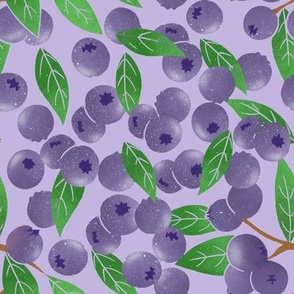 Blueberry on purple background