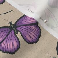 flying butterflies in violet and green 