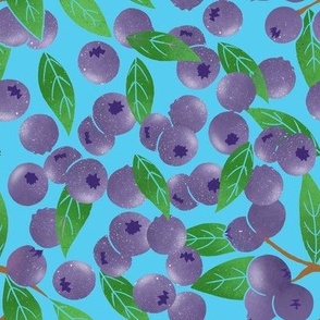 Blueberry on blue background