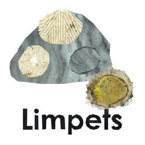 limpets - 6" panel