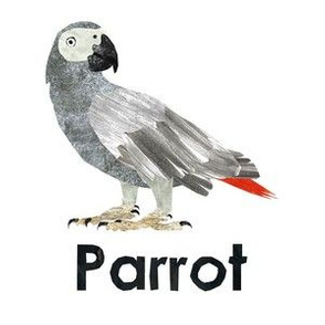 parrot - 6" panel