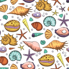 Summer sea shell cartoon design