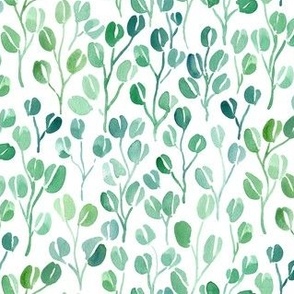 Eucalyptus Sprigs | Green