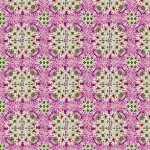 flower kaleidoscope pink white