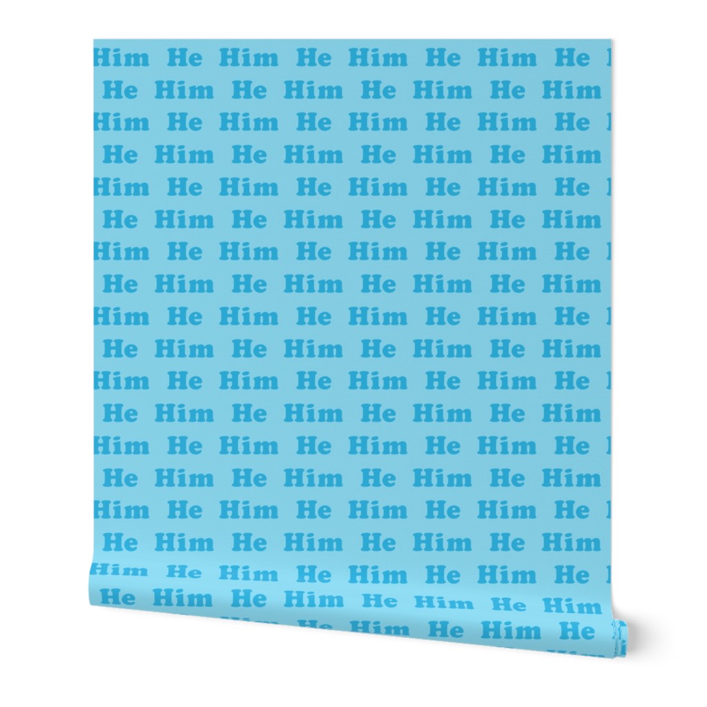 Pronouns - He him - blue