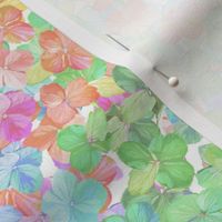 Pastel Hydrangea Blossom Rainbow |Small