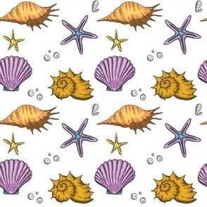  Summer sea shell cartoon design