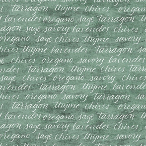 hand lettered culinary herbs on sage green background // medium scale
