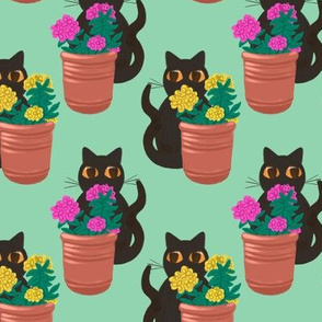 Black Cats and Flower Pots