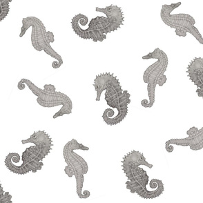 All Over Seahorses