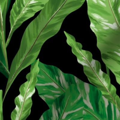 Tropical pattern of fern leaves