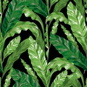 Tropical pattern of fern leaves