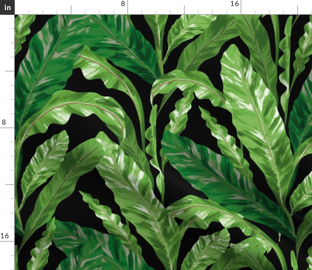 Tropical pattern of fern leaves