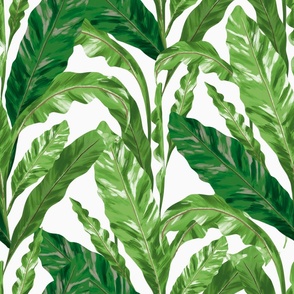 Tropical green leaves