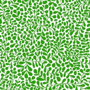 Ivy Doodle Green on  White