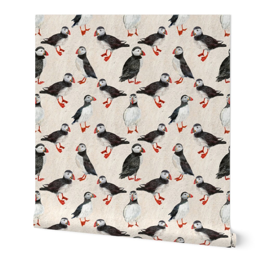 Large Scale Puffins