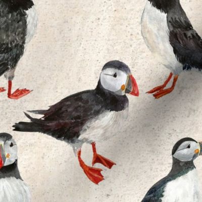 Large Scale Puffins