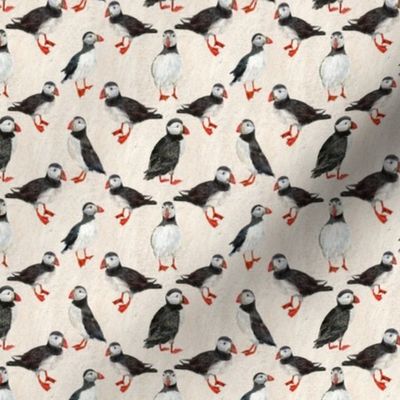 Small Scale Puffins