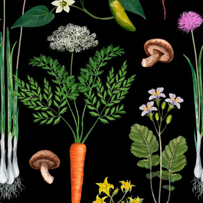 Vegetables and flowers _ 24