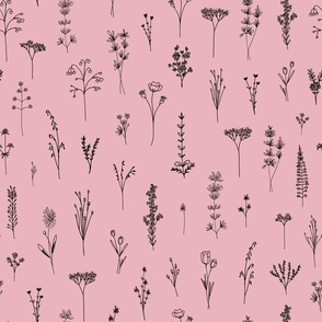 New Wildflowers Lineart pink and black