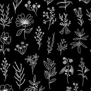 Little Patagonian Flowers - black