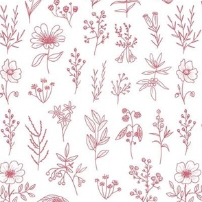 Line Art Flowers Pink and White