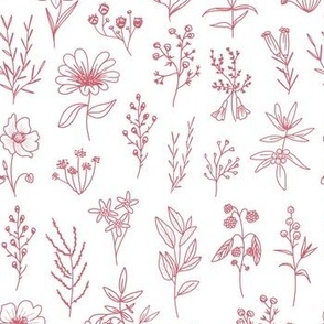 Line Art Flowers Pink and White