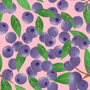 Blueberry on pink background