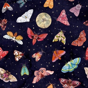 Celestial moths on a starry full moon night