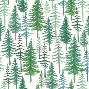 Evergreen Woodland Pine Trees - Winter, Woods