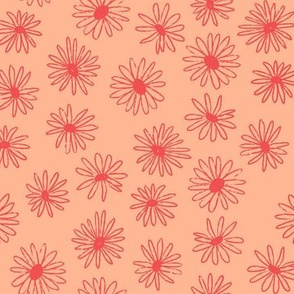 daisies small pink