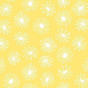 daisies small yellow white