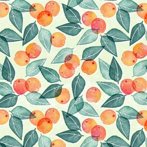 Honey Gherkin - Apricots