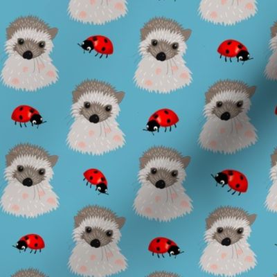 Hedgehog babies and red ladybugs