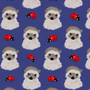 Hedgehog babies and red ladybugs on indigo