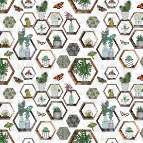 Hexagon Garden Wall 
