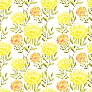 Yellow peonies