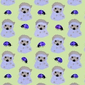 Hedgehog babies and ladybugs purple green