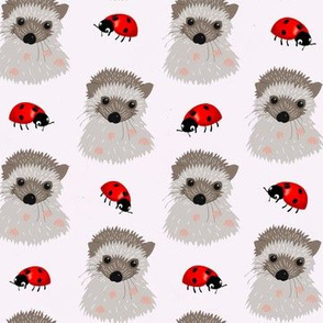 Hedgehog babies and ladybugs on white