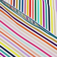 Classic Stripes // Artwerks Rainbow