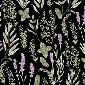 Old World Fragrant Herbs botanical - soft green and purple on black - large