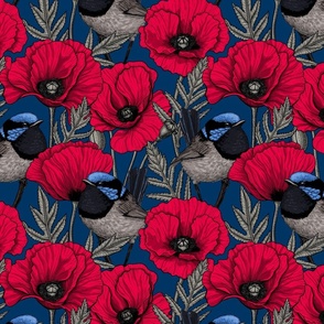 Fairy wrens and poppies, small size